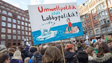 Fridaysforfuture Die Besten Schilder Von Den Klimastreik Demos