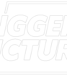 Logo "bigger picture"