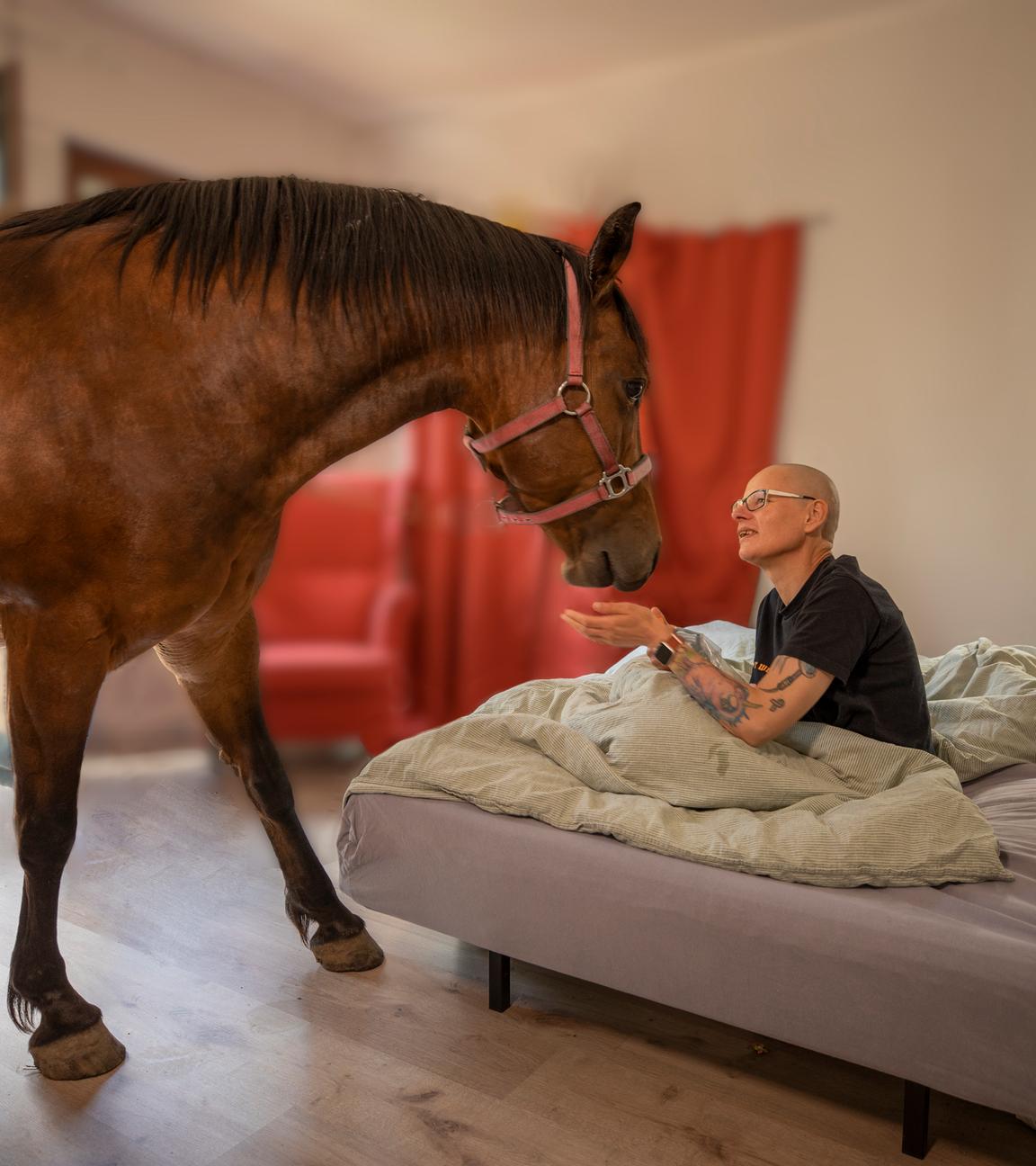 Krebskranke Frau liegt im Bett und streichelt ein Pferd, was von draußen reinschaut