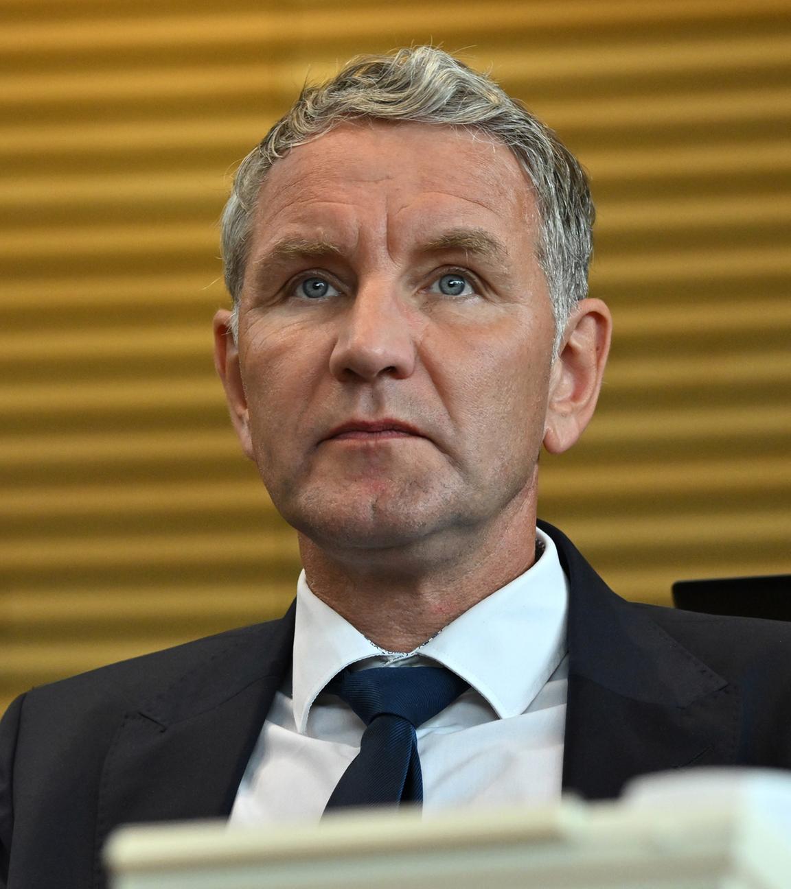 AfD-Fraktionschef Björn Höcke im Thüringer Landtag in Erfurt
