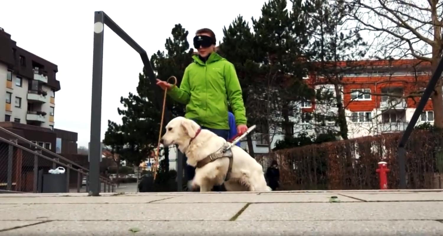 Ausbildung zum Blindenhund