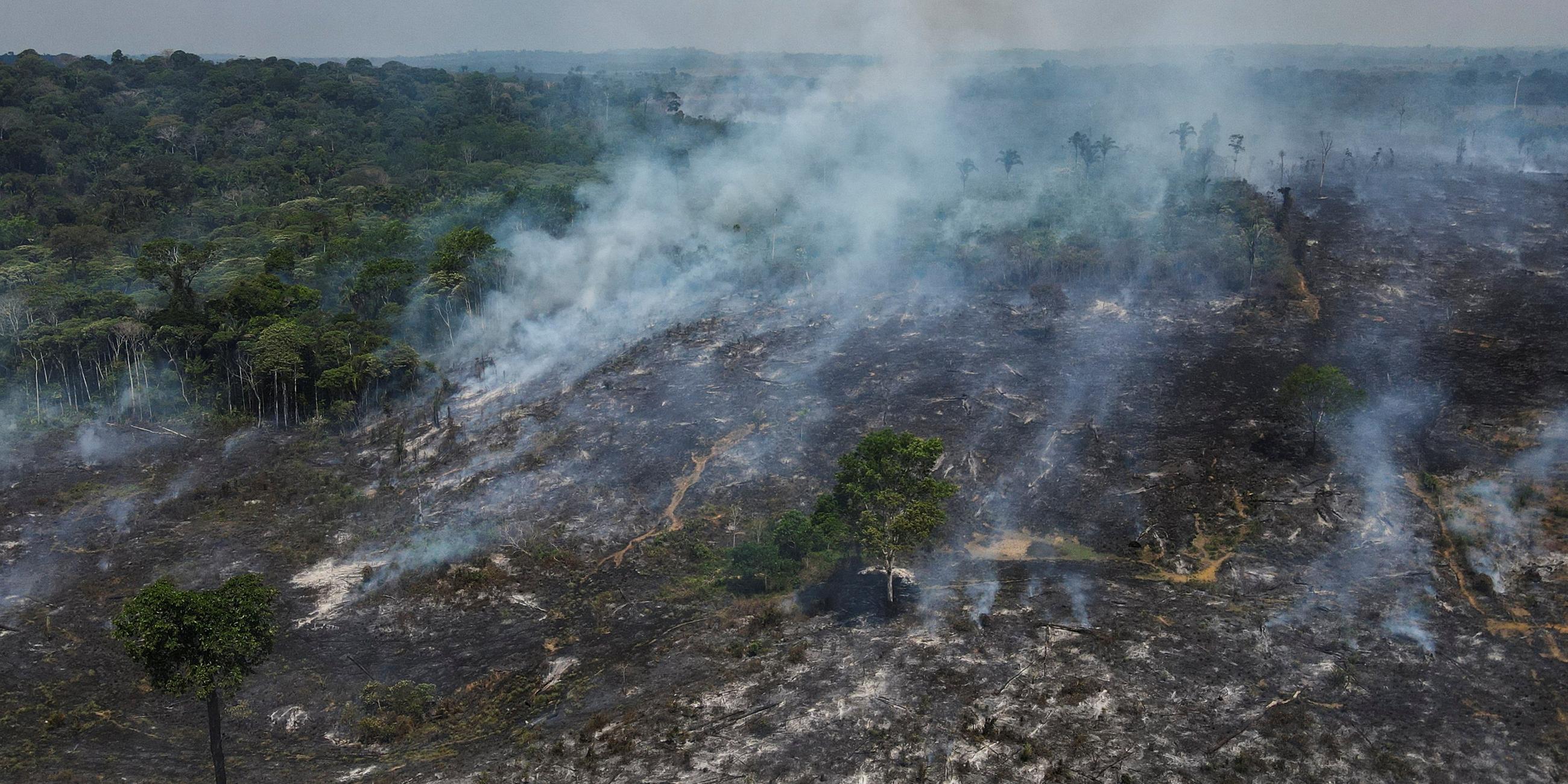 Brandrodung im Amazonas.