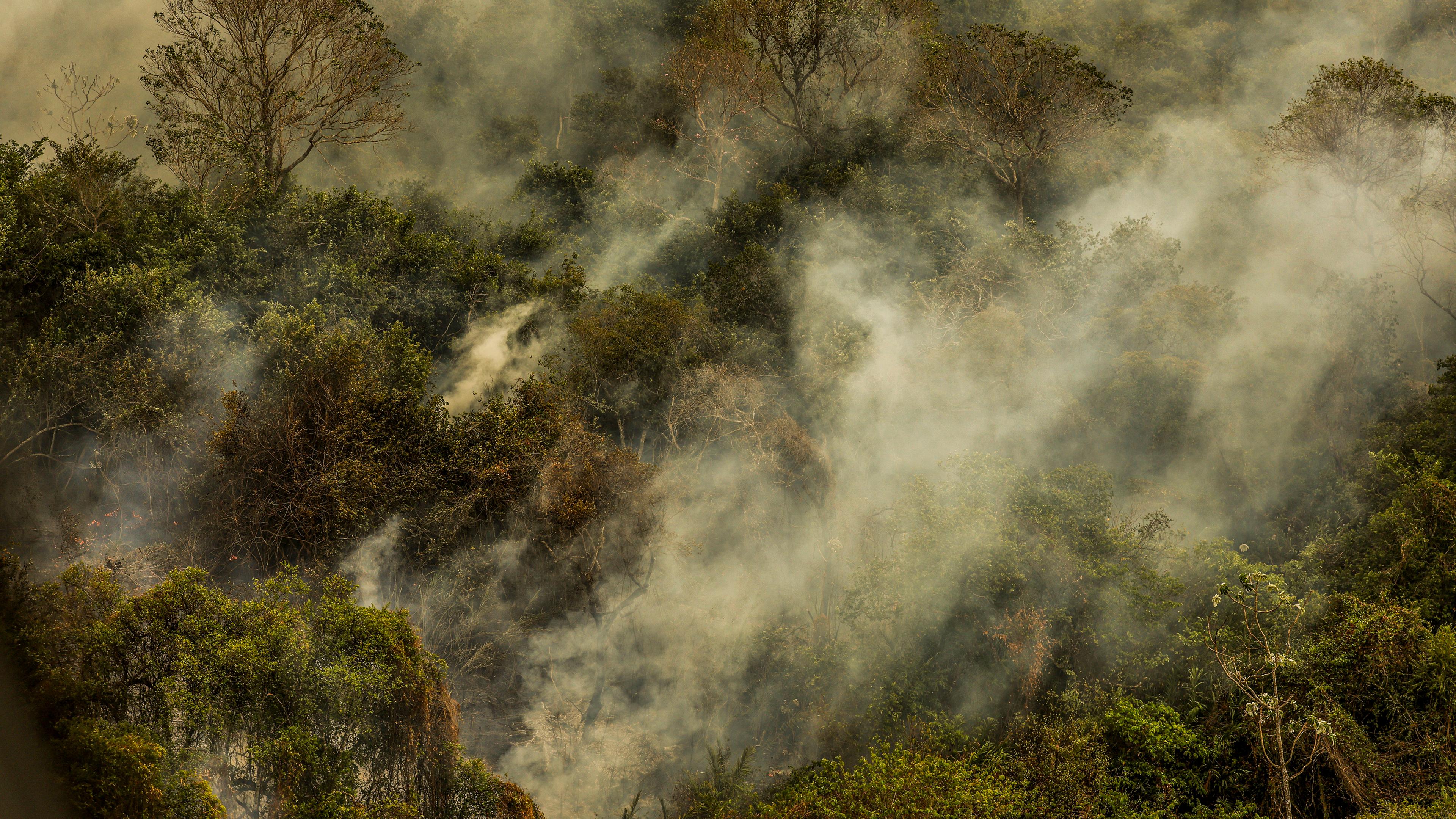 Brände in Brasiliens Sumpfgebiet Pantanal