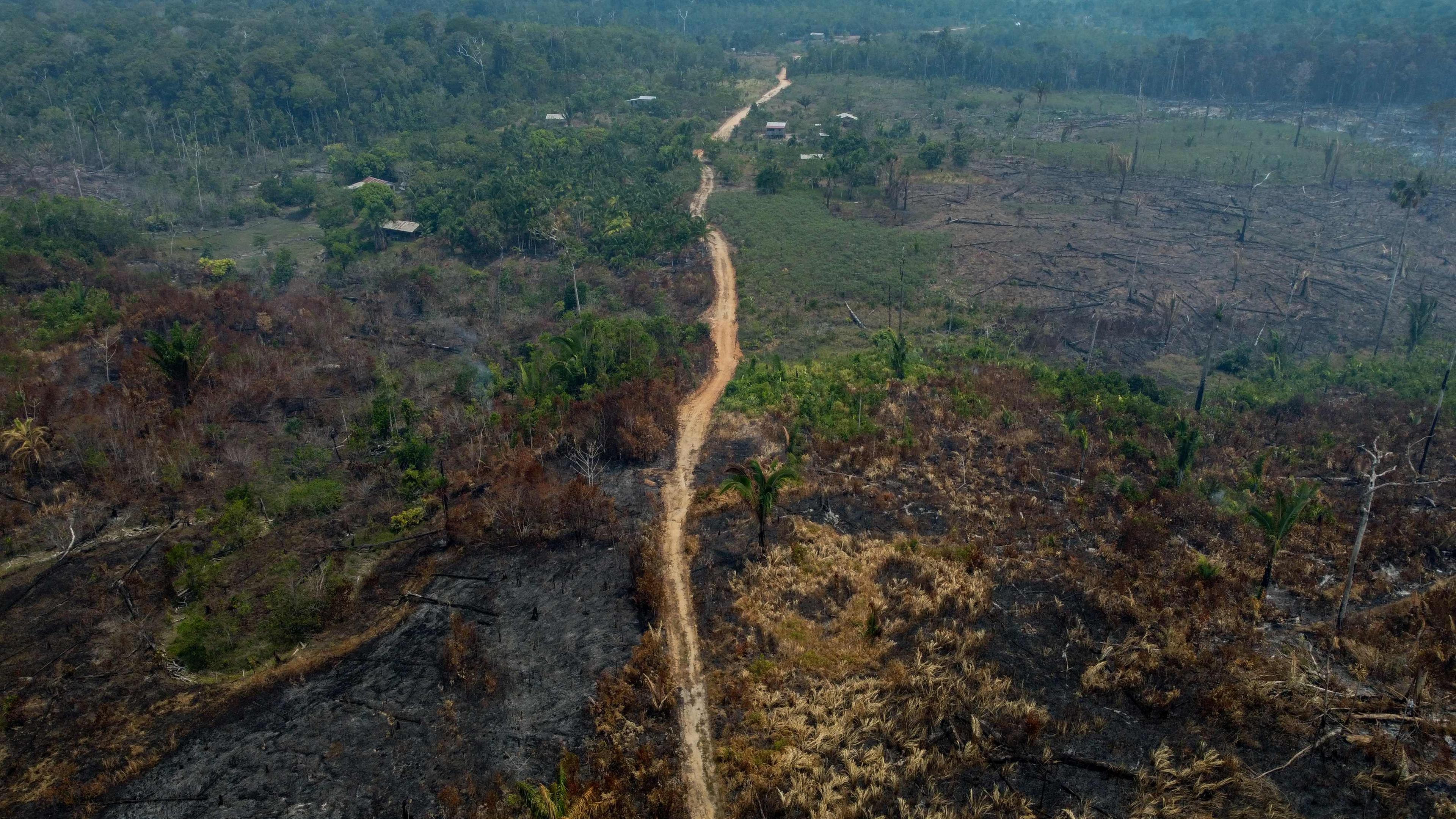 Brandrodung in Brasilien