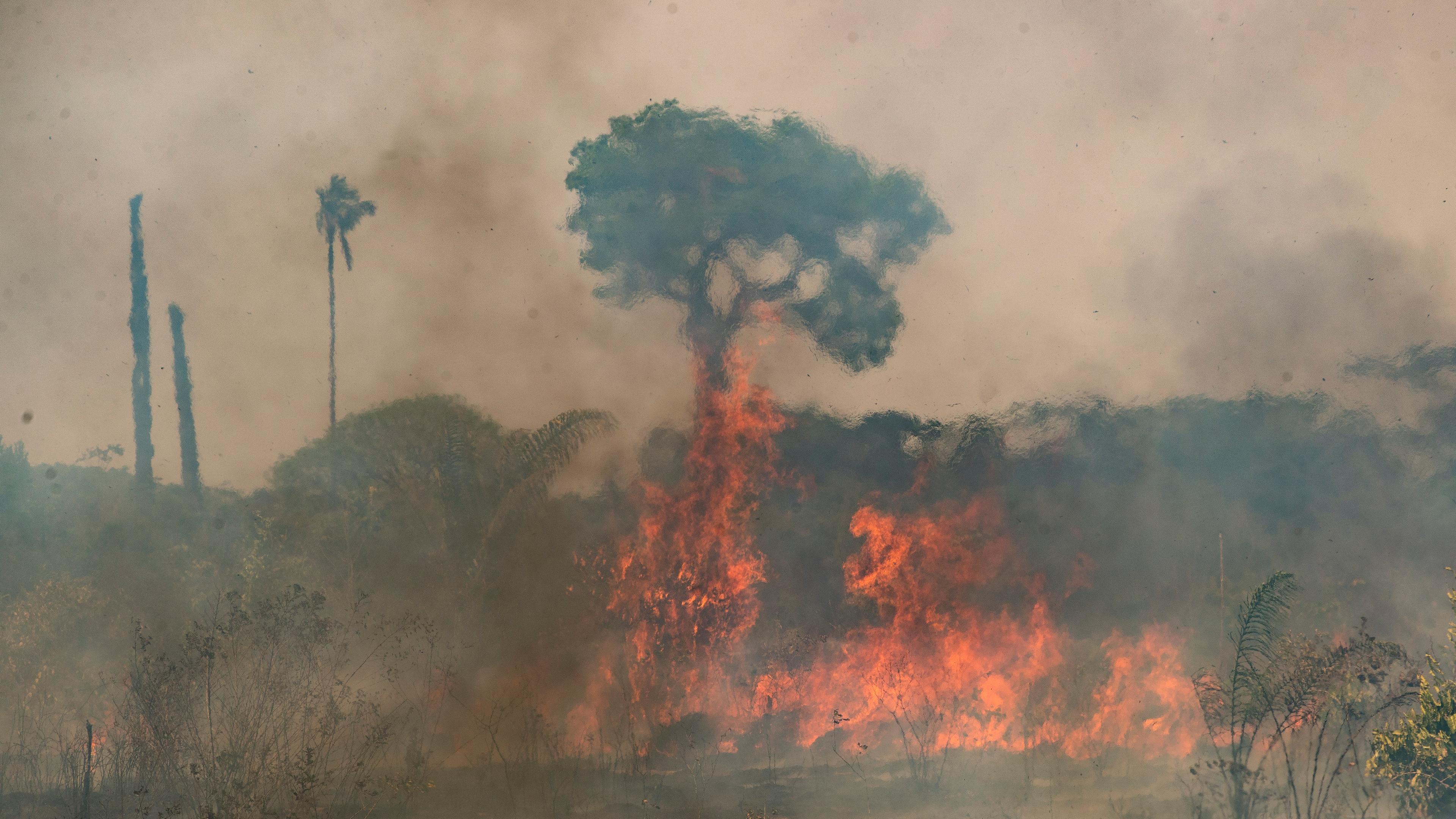 Waldbrand in Brasilien