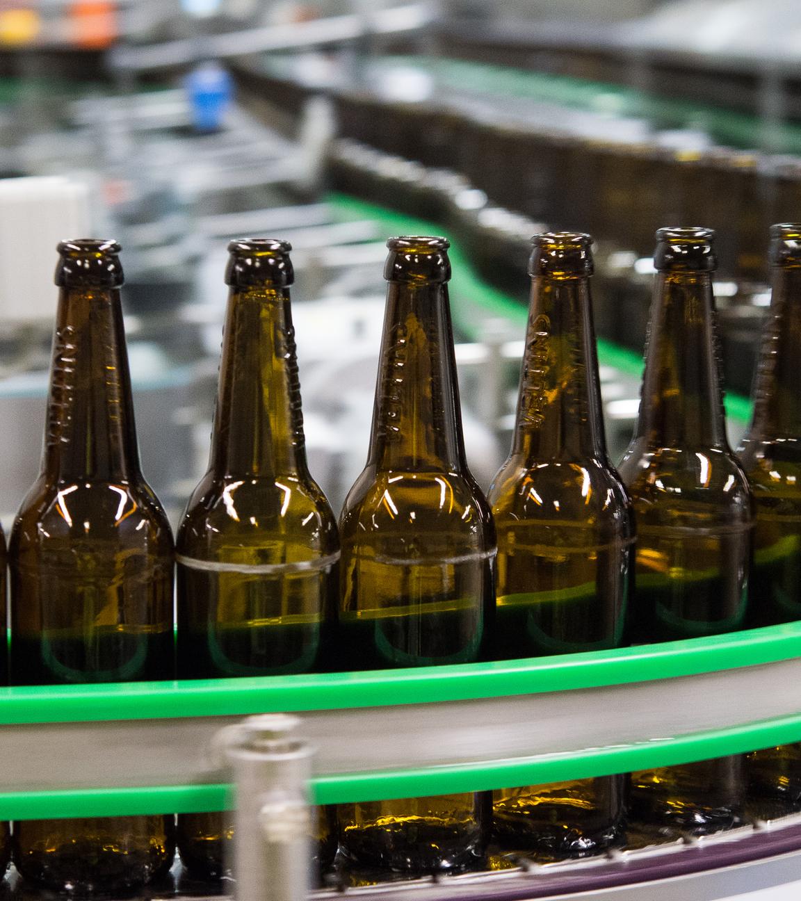 Leere Bierflaschen auf einem Fließband in einer Brauerei.