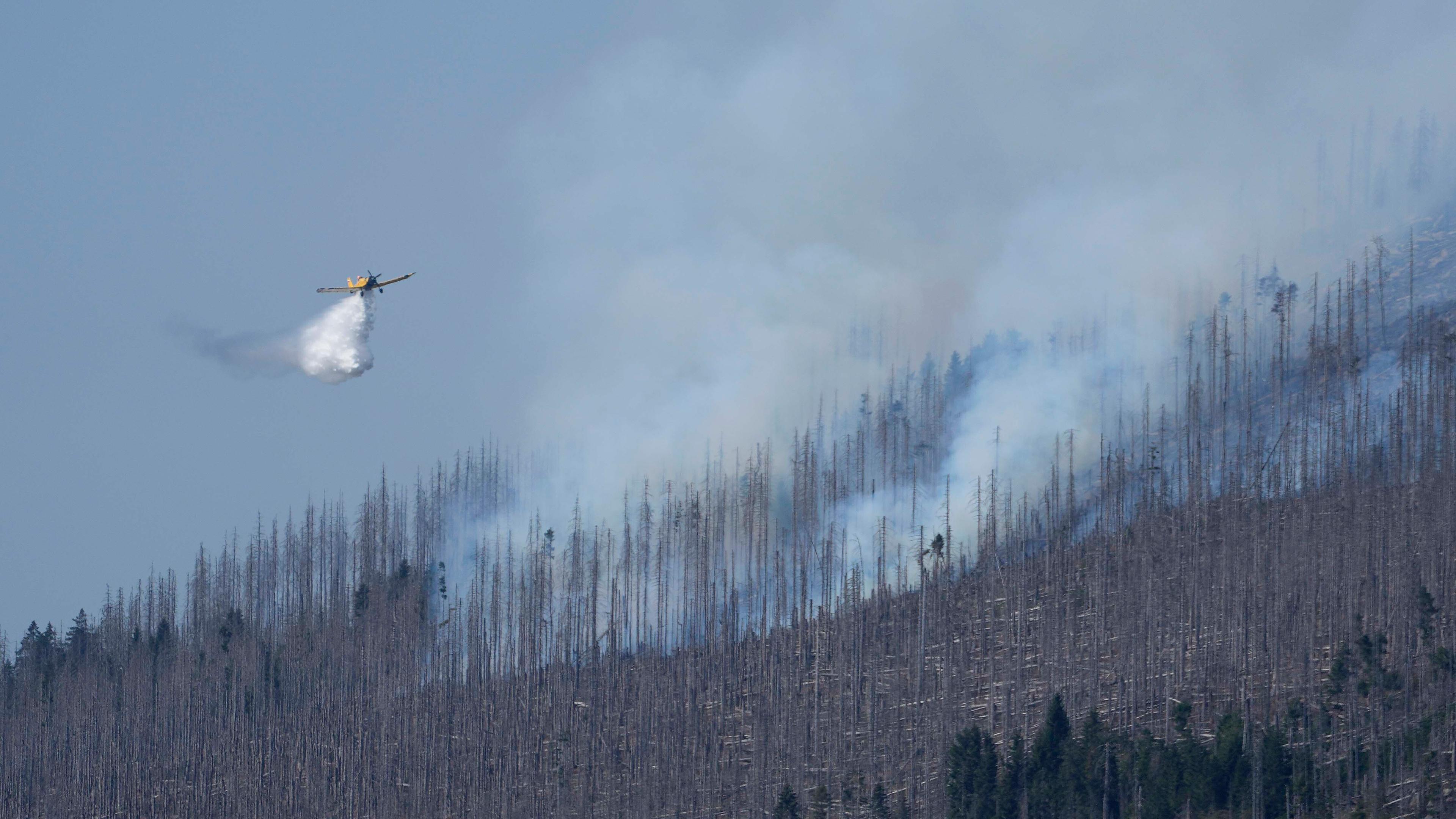 A plane drops water over a fire at the Harz Mountains below the Brocken peak about 30 km (18.6 miles) west of Wernigerode in northern Germany near Schierke, Germany, Saturday, Sept. 7, 2024. 