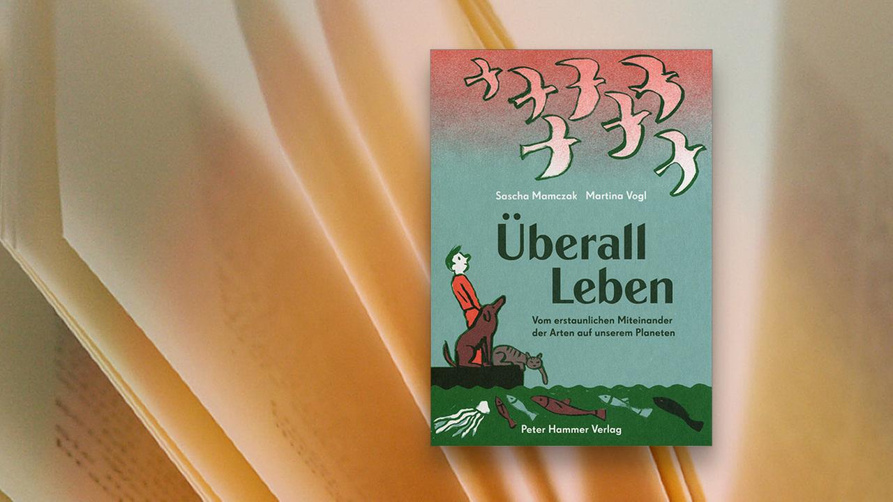 Kinderbuchtipp: "Überall Leben" - ZDFmediathek