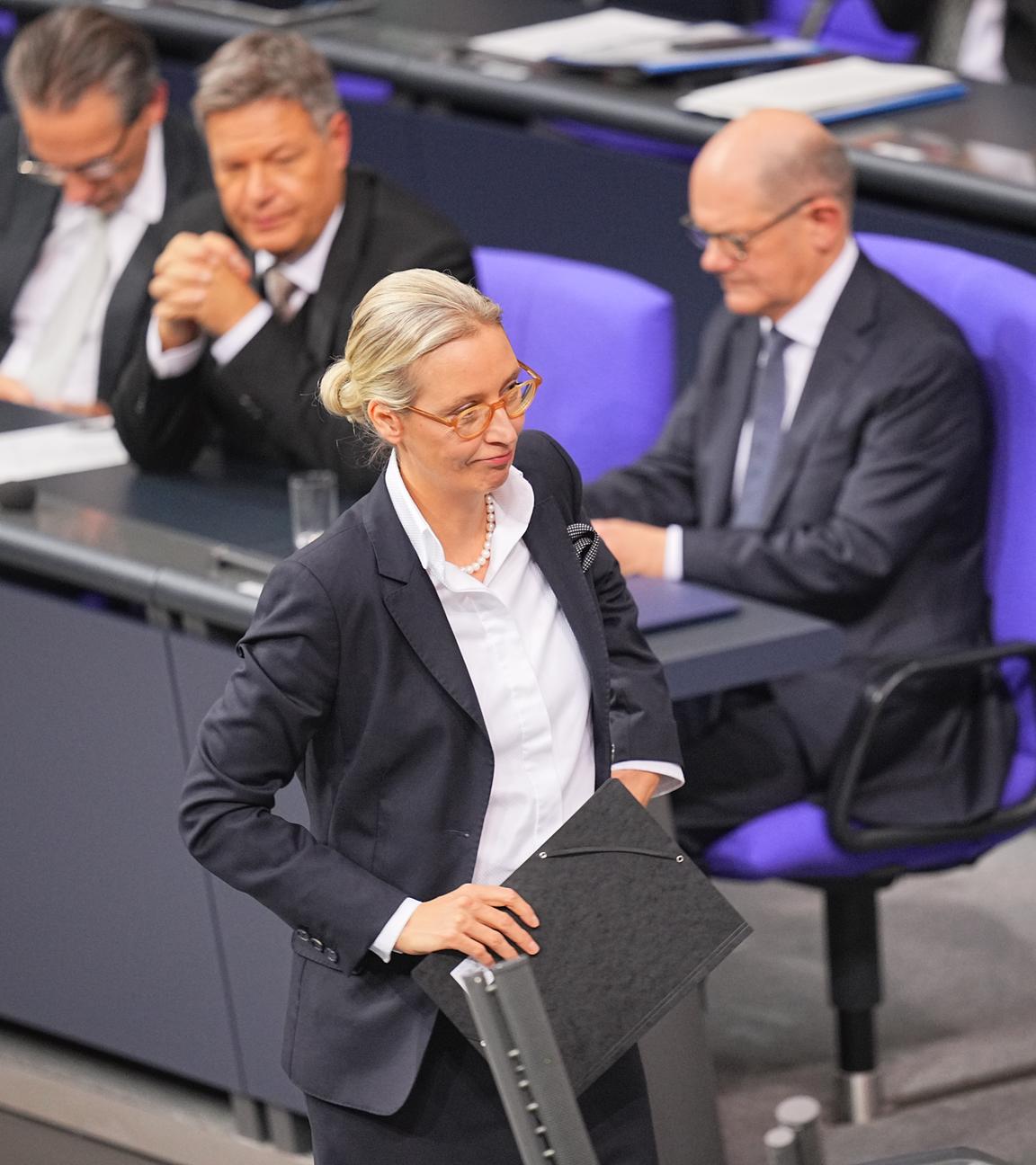 Alice Weidel hält Rede im Bundestag