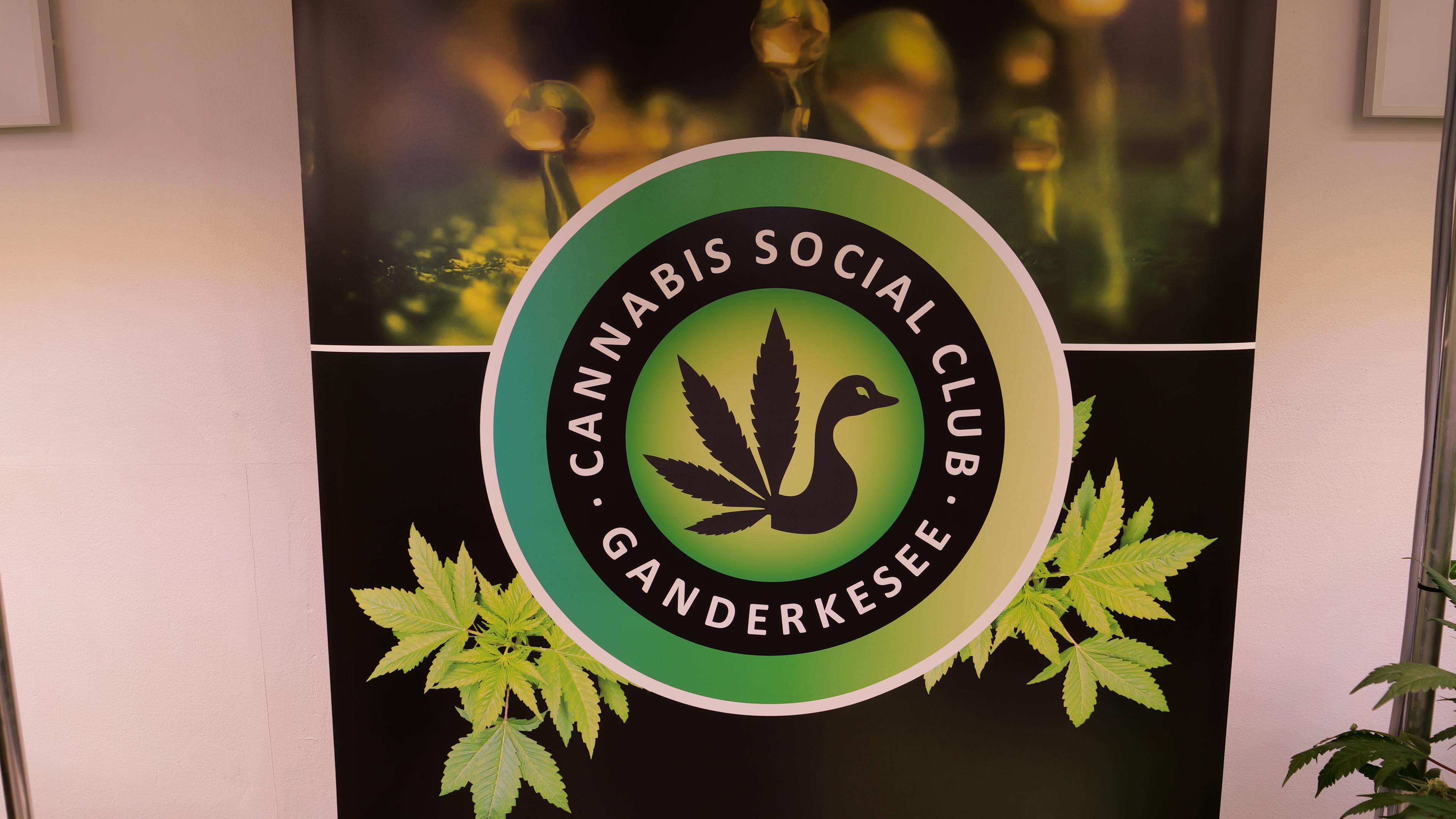 Niedersachsen, Ganderkesee: Das Logo des Cannabis-Anbauvereins Cannabis Social Club im niedersächsischen Ganderkesee.