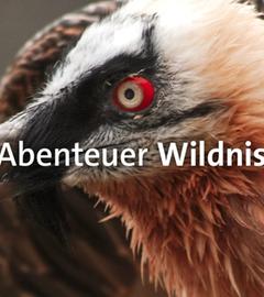 Abenteuer Wildnis