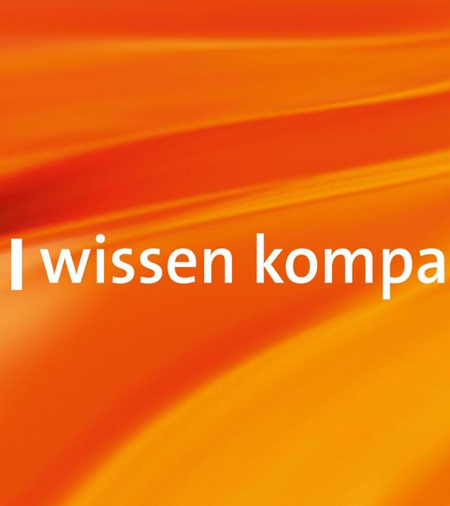 alpha-wissen kompakt