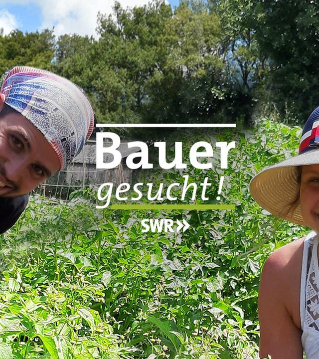 Bauer gesucht