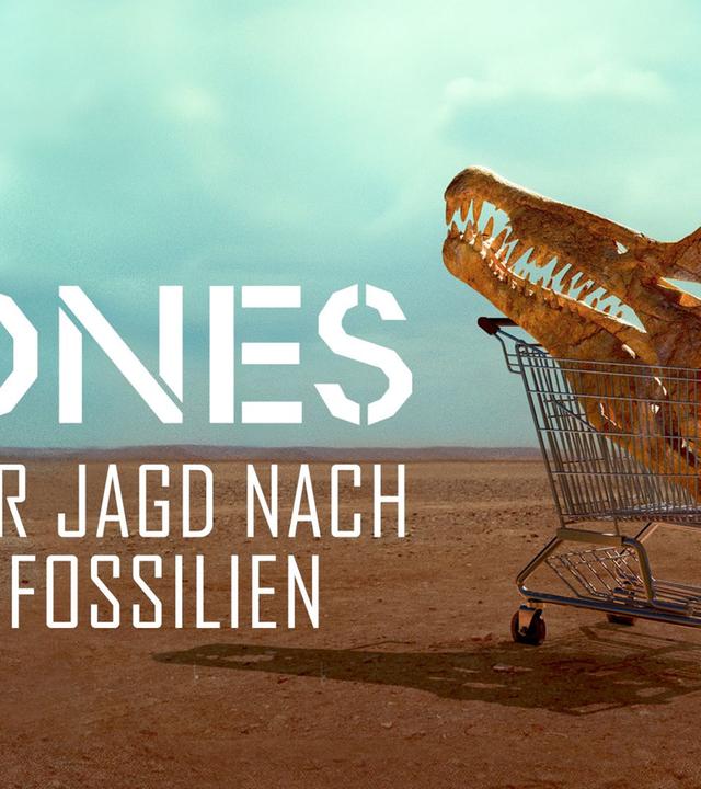 Bones ‧ Auf der Jagd nach Dino-Fossilien