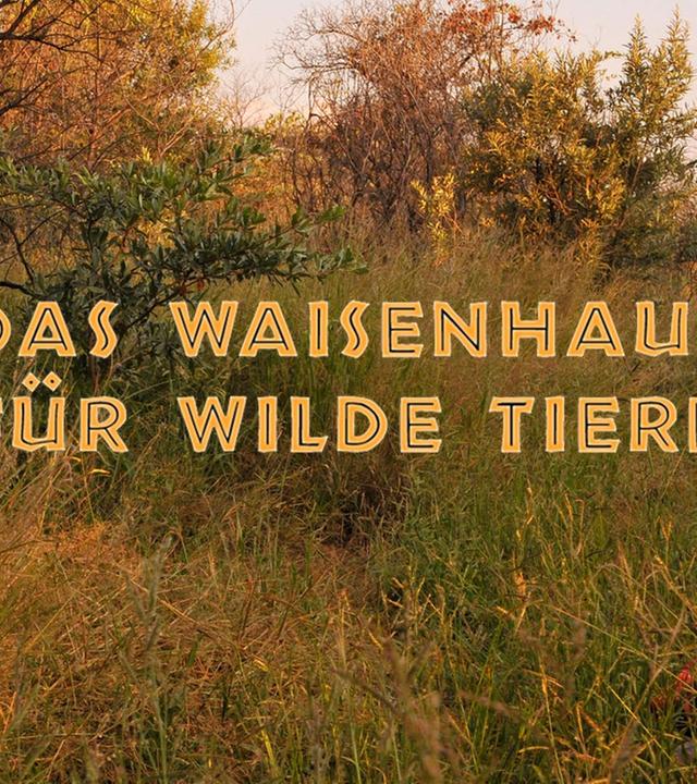 Das Waisenhaus für wilde Tiere