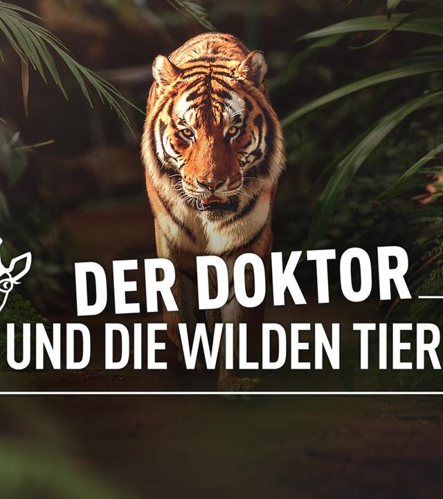 Der Doktor und die wilden Tiere 