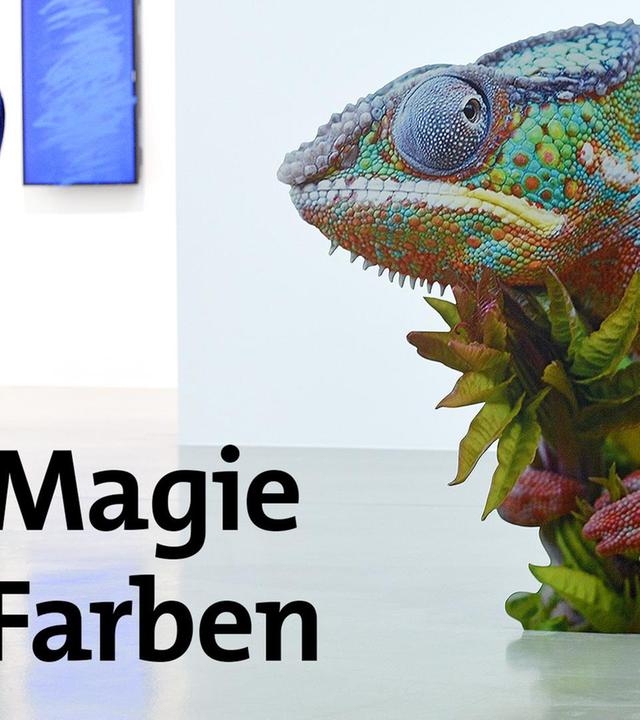 Die Magie der Farben