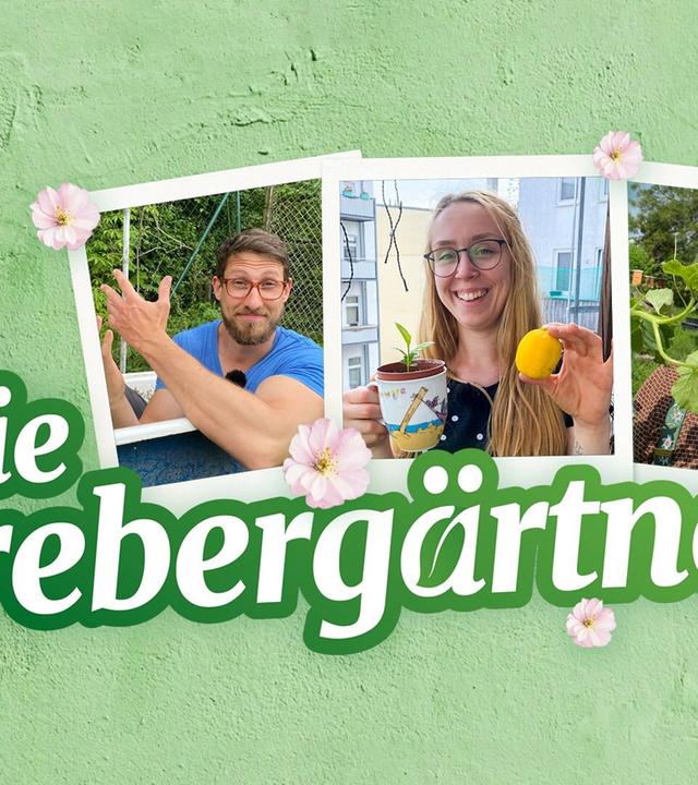 Die Strebergärtner