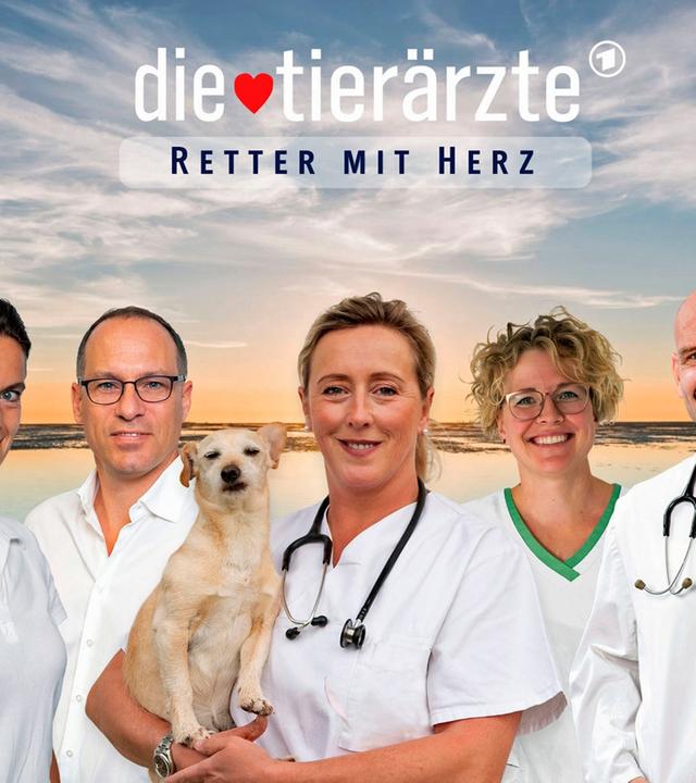 Die Tierärzte - Retter mit Herz