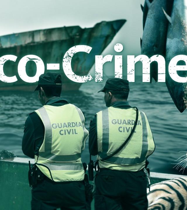 Eco Crimes - ARD Wissen