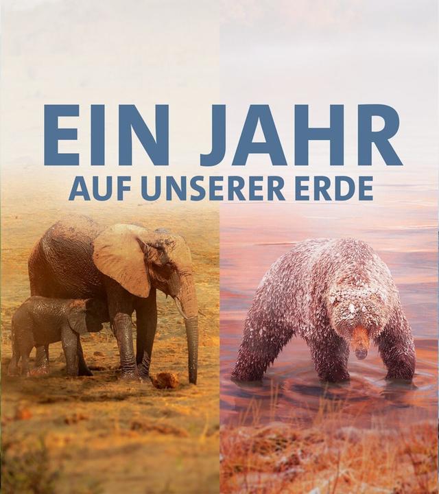 Ein Jahr auf unserer Erde