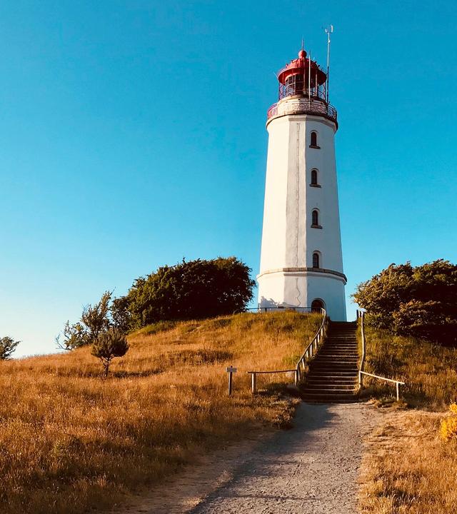 Ein Sommer auf Hiddensee