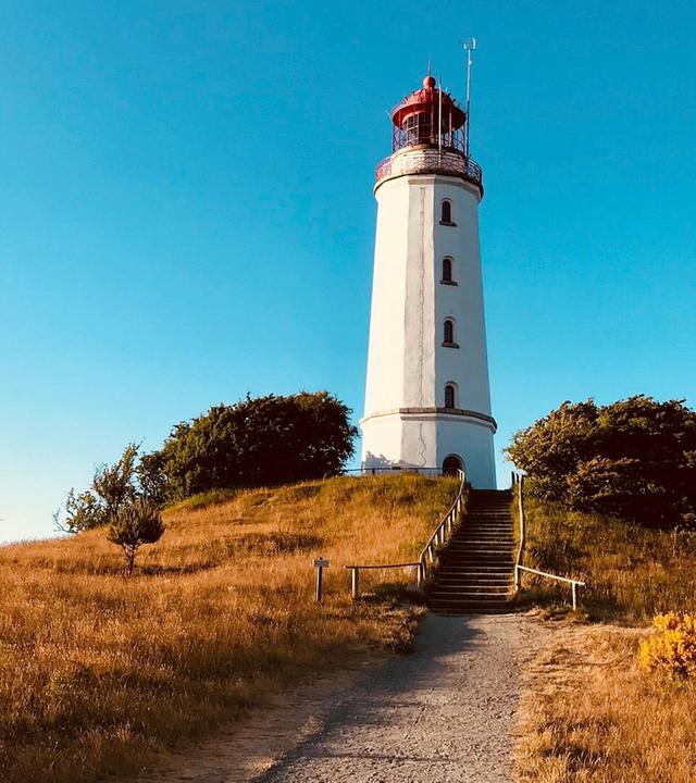 Ein Sommer auf Hiddensee