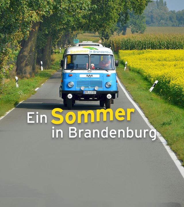 Ein Sommer in Brandenburg