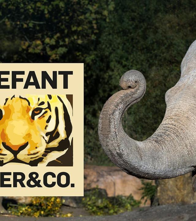 Elefant, Tiger & Co.