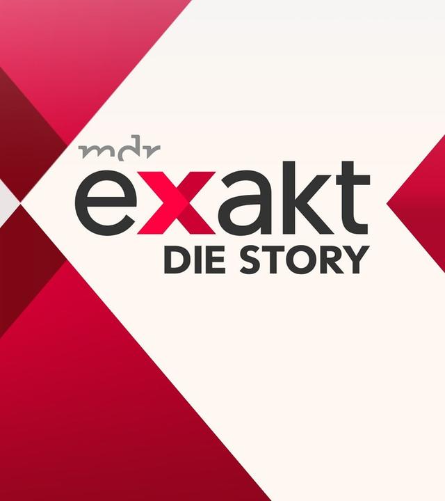 Exakt - Die Story