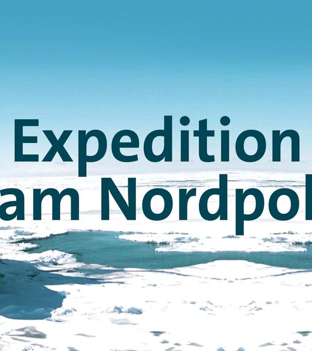 Expedition am Nordpol