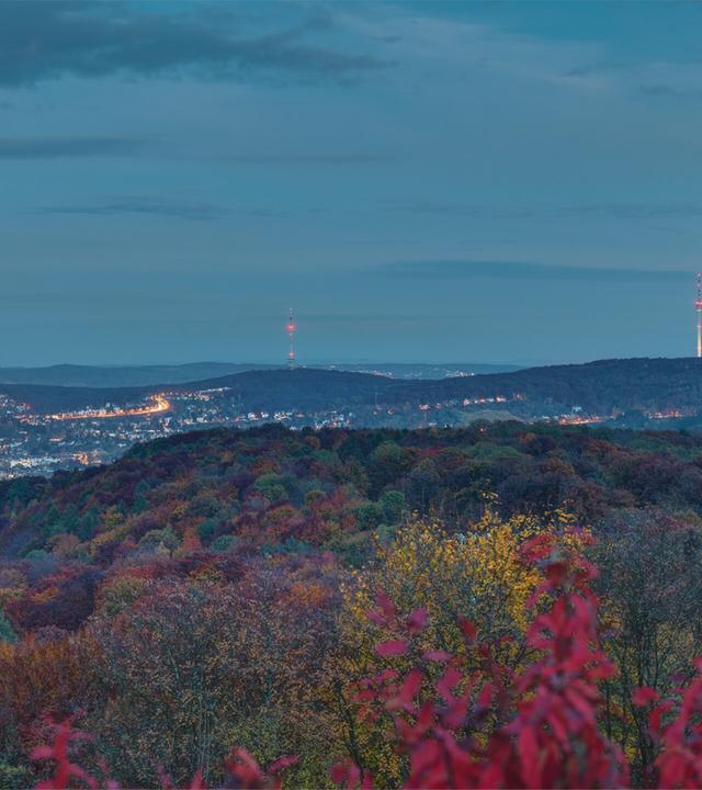 Landesschau Baden-Württemberg