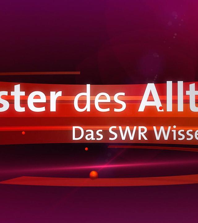 Meister des Alltags