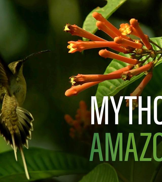 Mythos Amazonas