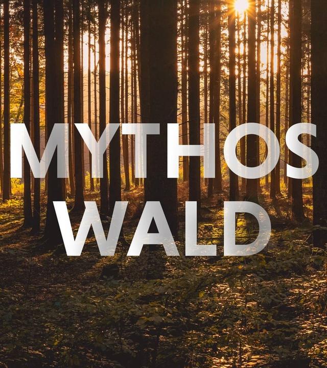 Mythos Wald