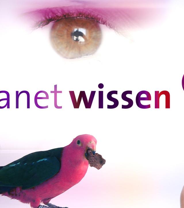 Planet Wissen