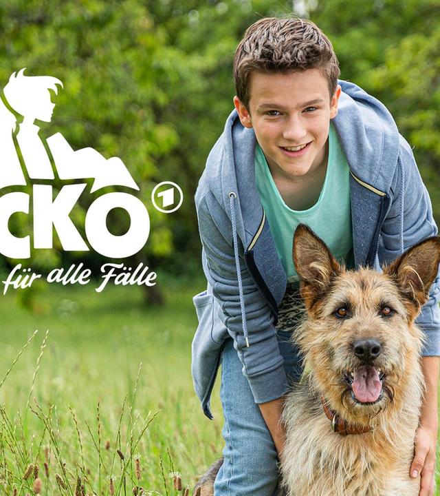 RACKO - Ein Hund für alle Fälle