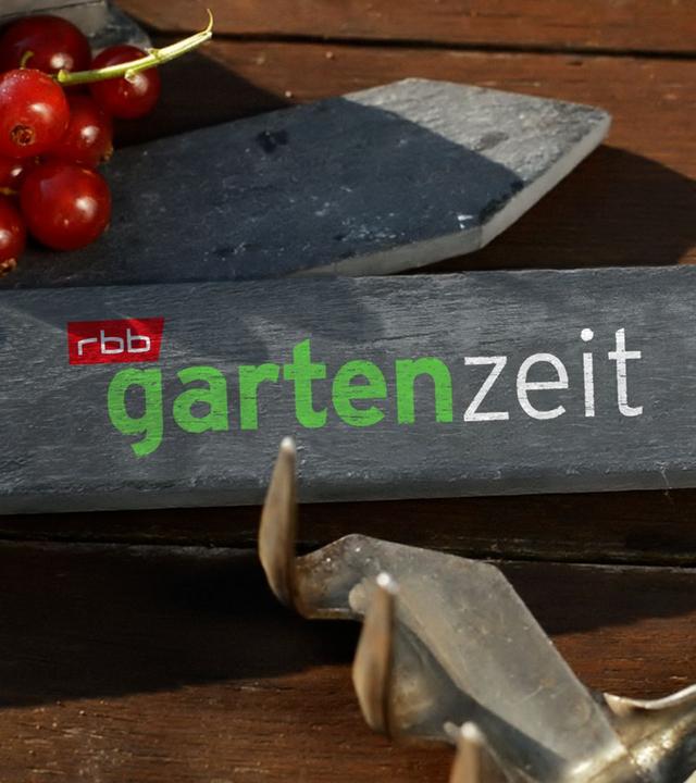 rbb Gartenzeit