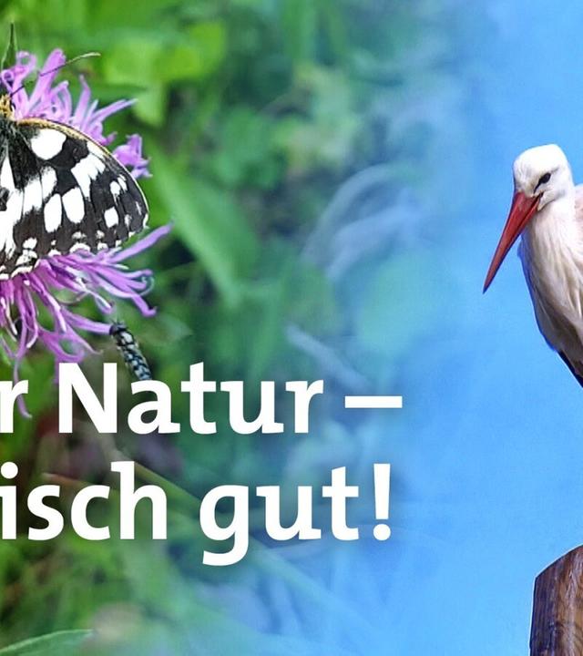 Saar Natur - tierisch gut!