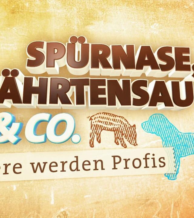 Spürnase, Fährtensau & Co.