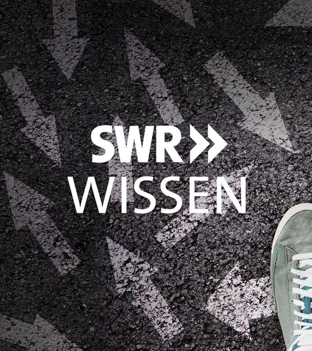 SWR Wissen