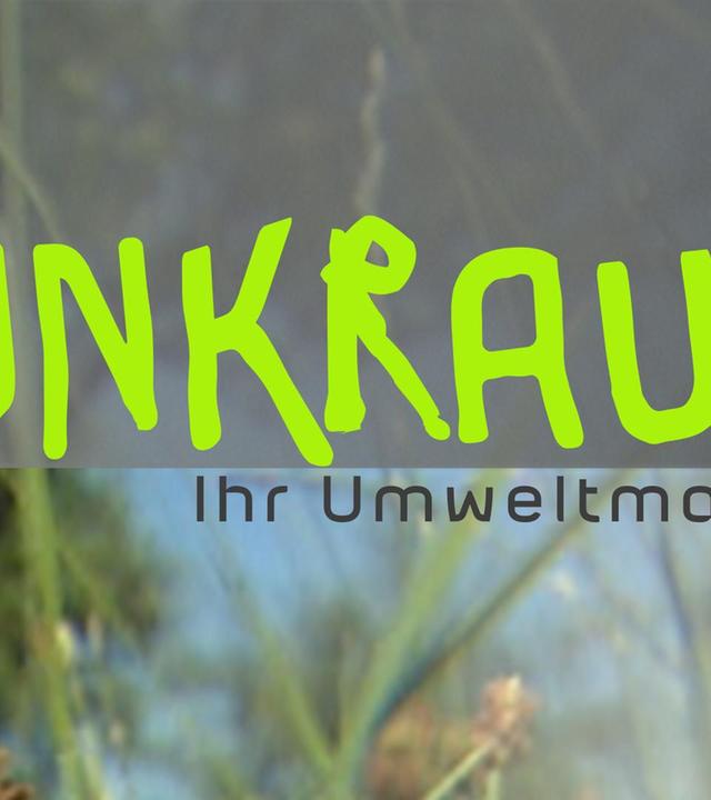 UNKRAUT