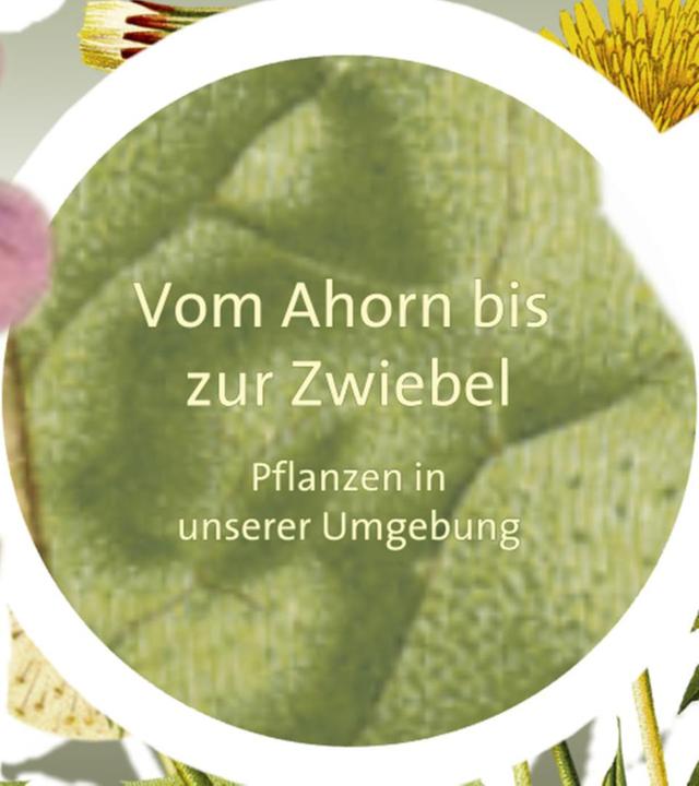 Vom Ahorn bis zur Zwiebel