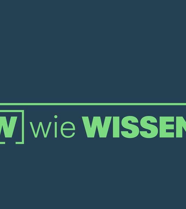 W wie Wissen