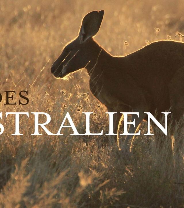 Wildes Australien