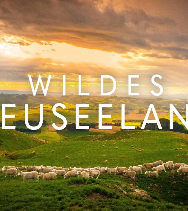 Wildes Neuseeland