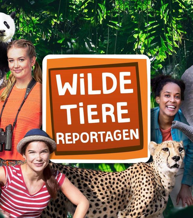 Anna, Nina, Pia und die wilden Tiere