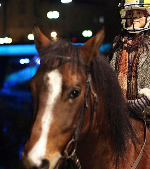 Das Pferd auf dem Balkon