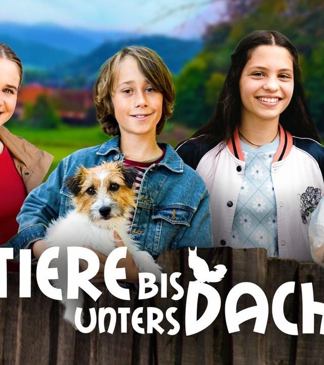 Tiere bis unters Dach