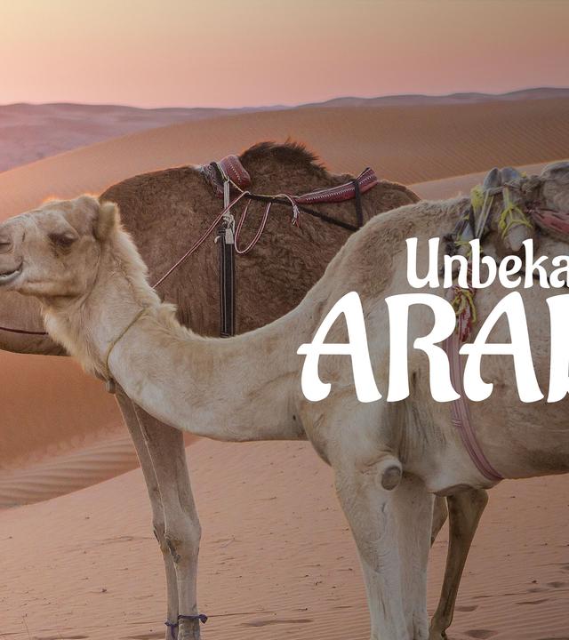 Die Arabische Welt